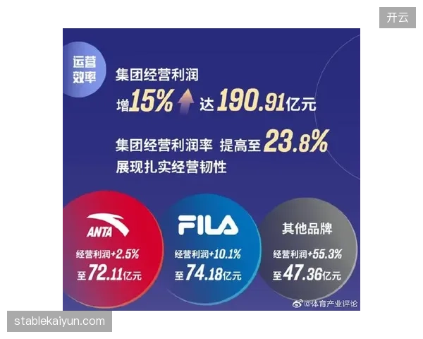 安踏集团的风险模型如何纠偏亚玛芬体育的全球化供应链错配